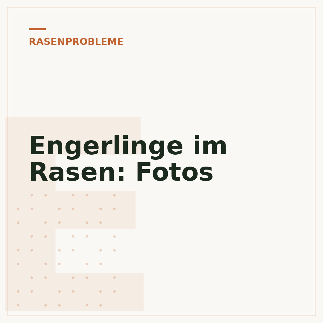 Engerlinge im Rasen: Fotos