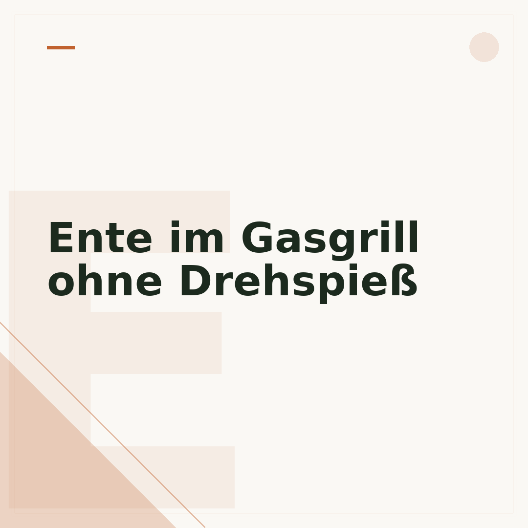Ente im Gasgrill ohne Drehspieß