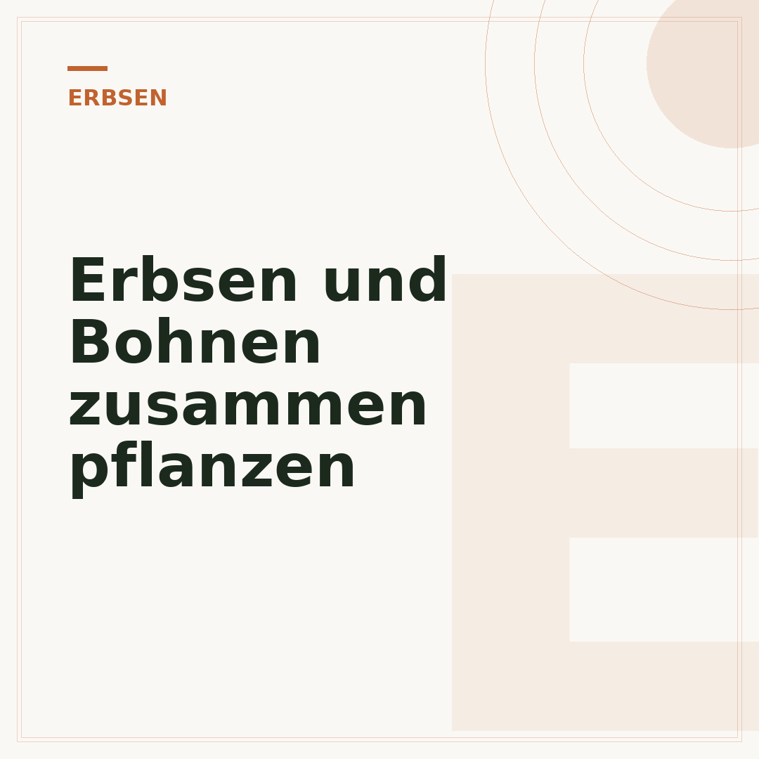 Erbsen und Bohnen zusammen pflanzen