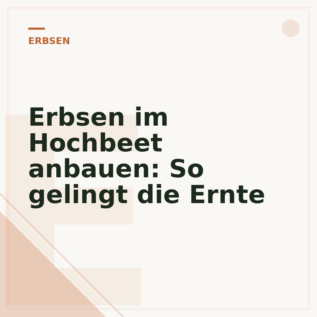 Erbsen im Hochbeet anbauen: So gelingt die Ernte