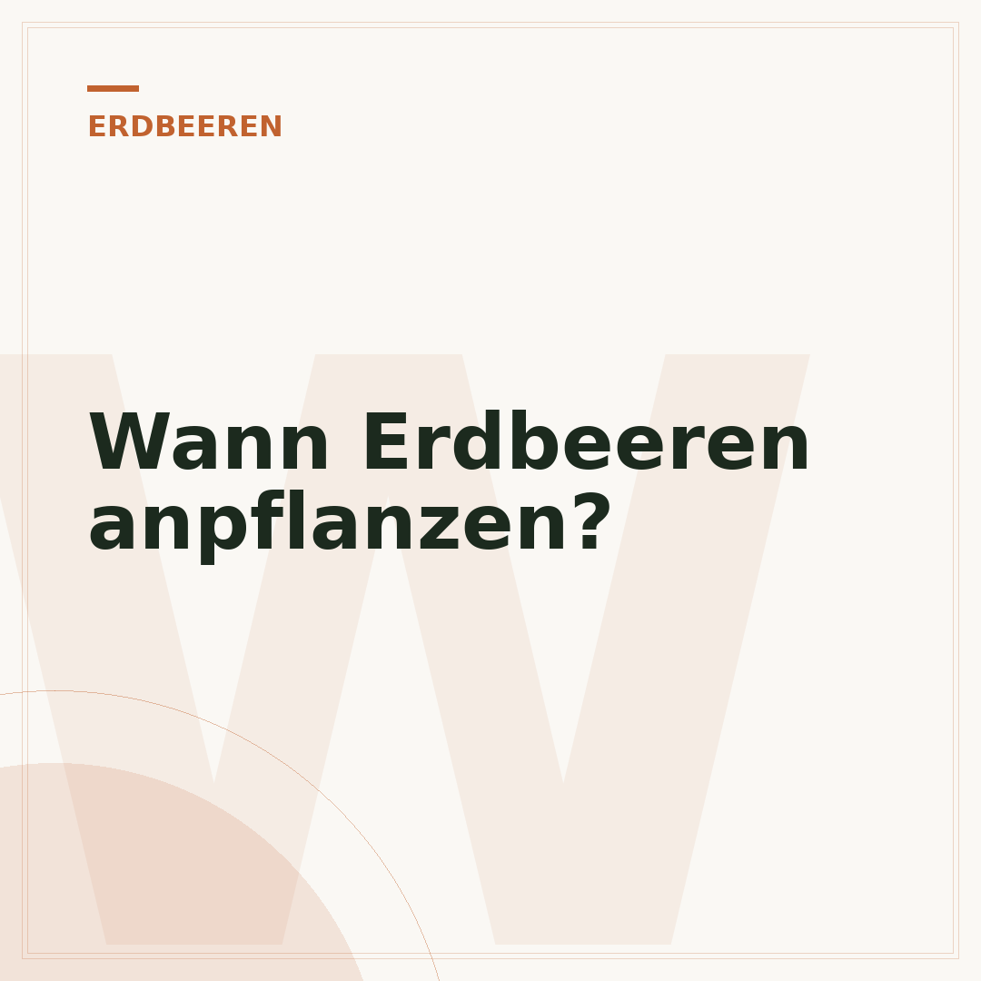 Wann Erdbeeren anpflanzen?