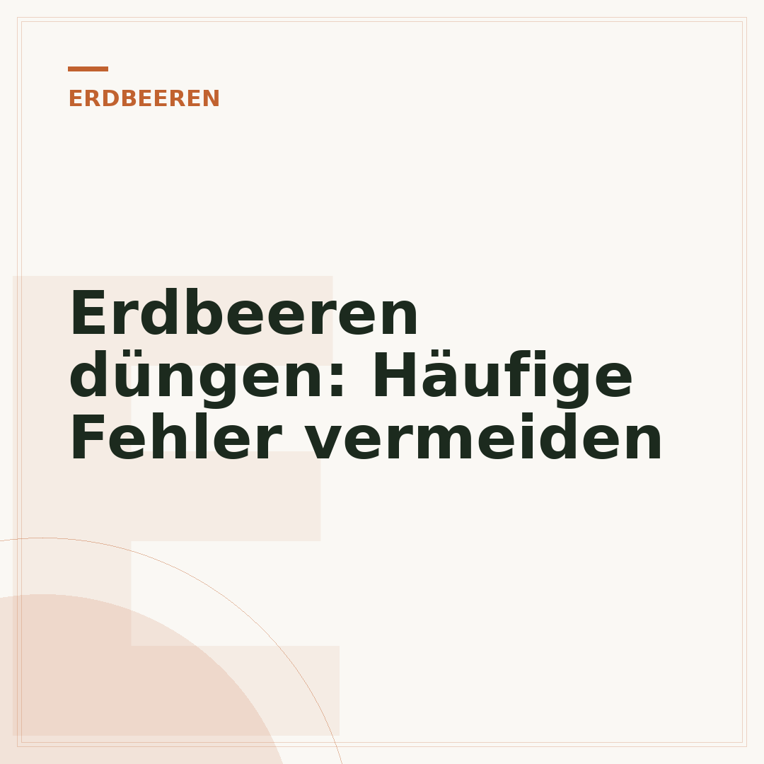 Erdbeeren düngen: Häufige Fehler vermeiden