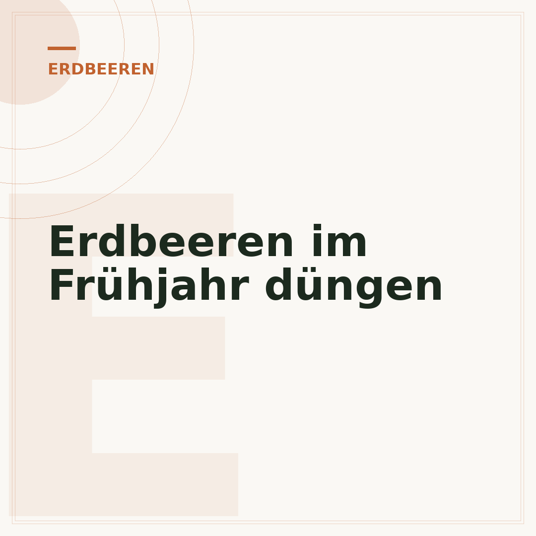 Erdbeeren im Frühjahr düngen