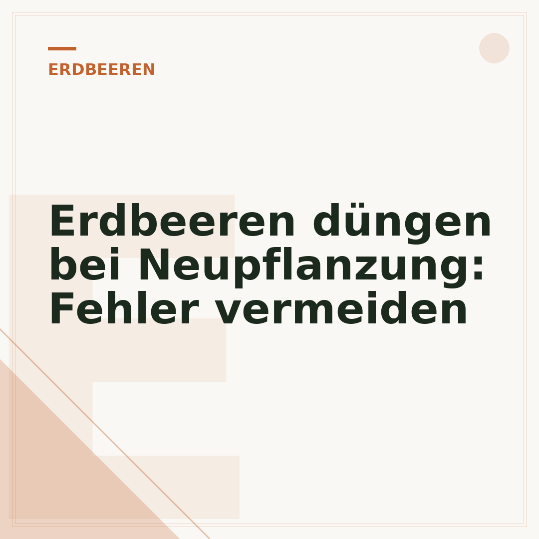 Erdbeeren düngen bei Neupflanzung: Fehler vermeiden