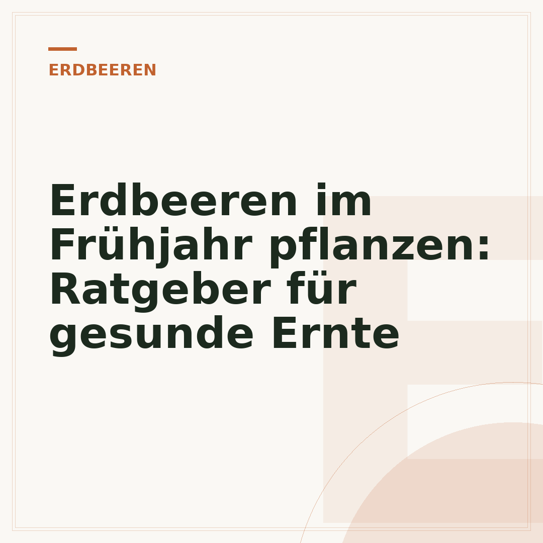 Erdbeeren im Frühjahr pflanzen: Ratgeber für gesunde Ernte