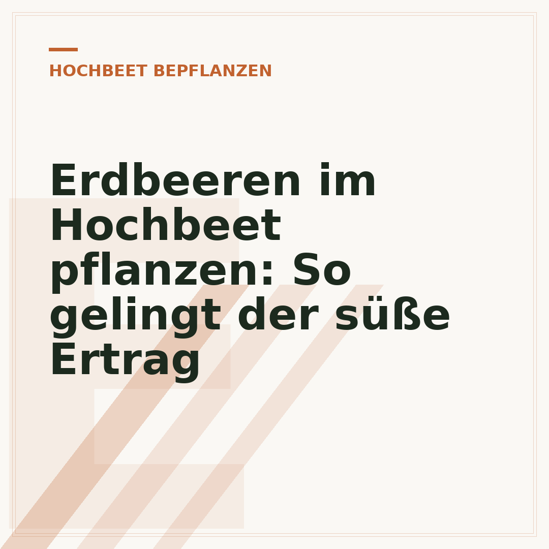 Erdbeeren im Hochbeet pflanzen: So gelingt der süße Ertrag