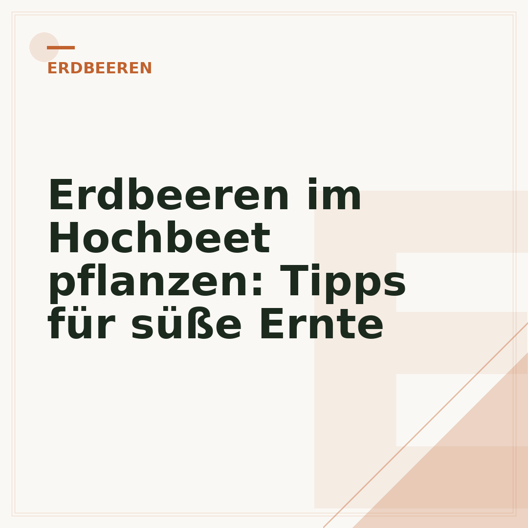 Erdbeeren im Hochbeet pflanzen: Tipps für süße Ernte
