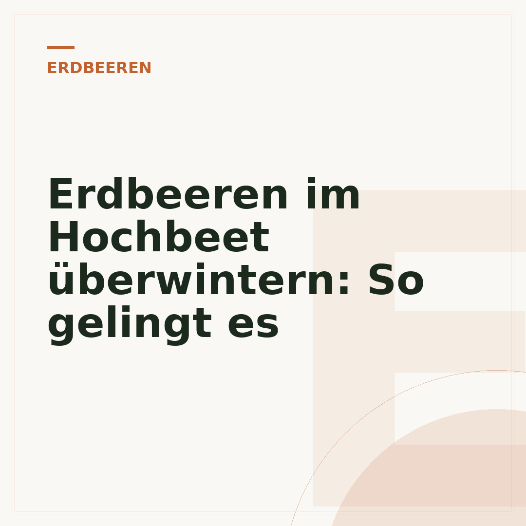 Erdbeeren im Hochbeet überwintern: So gelingt es