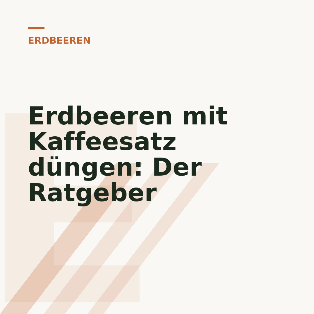 Erdbeeren mit Kaffeesatz düngen: Der Ratgeber