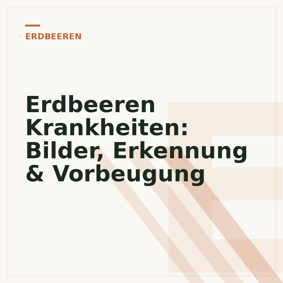 Erdbeeren Krankheiten: Bilder, Erkennung & Vorbeugung