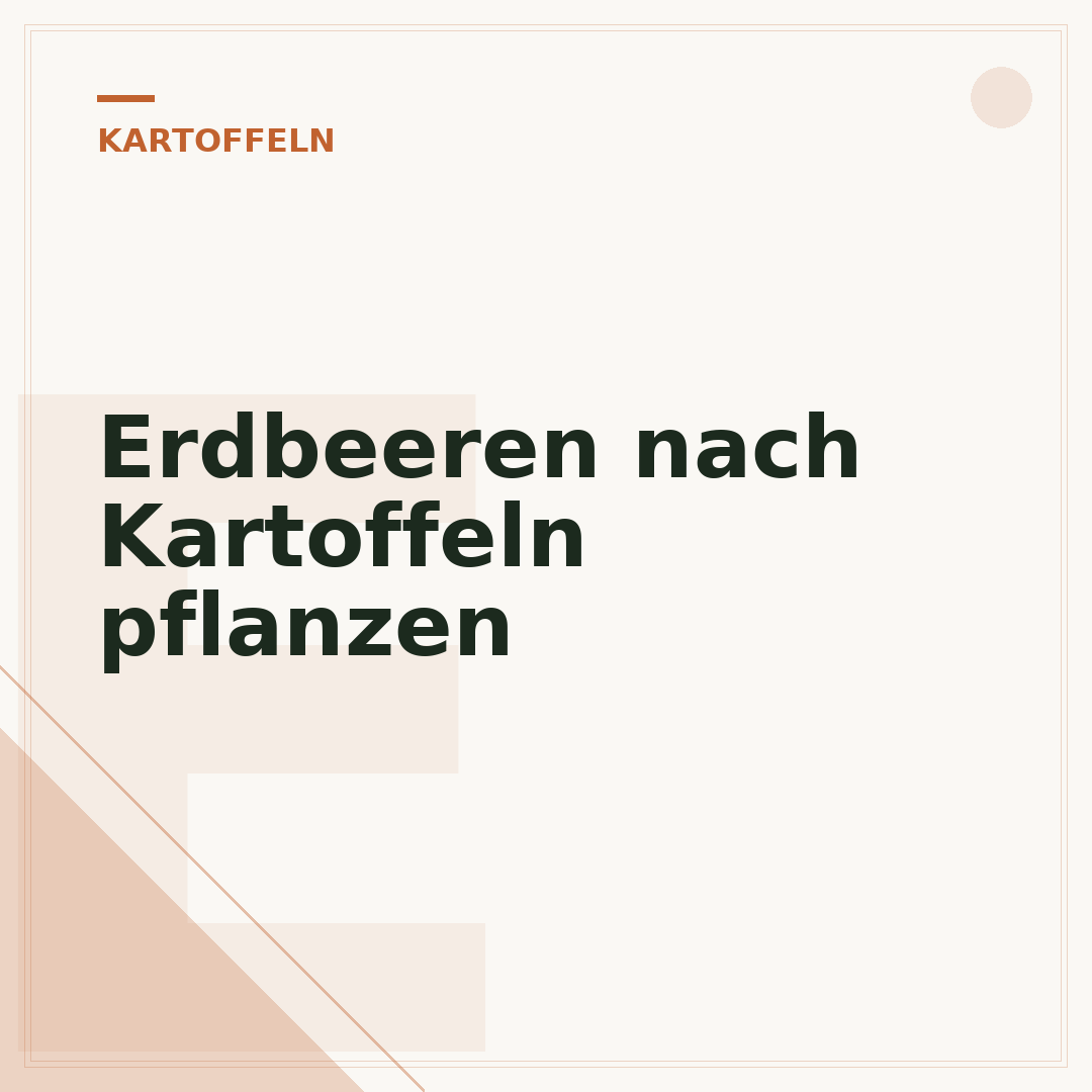 Erdbeeren nach Kartoffeln pflanzen