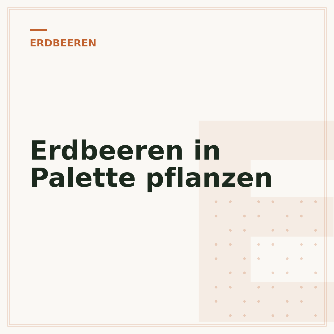 Erdbeeren in Palette pflanzen