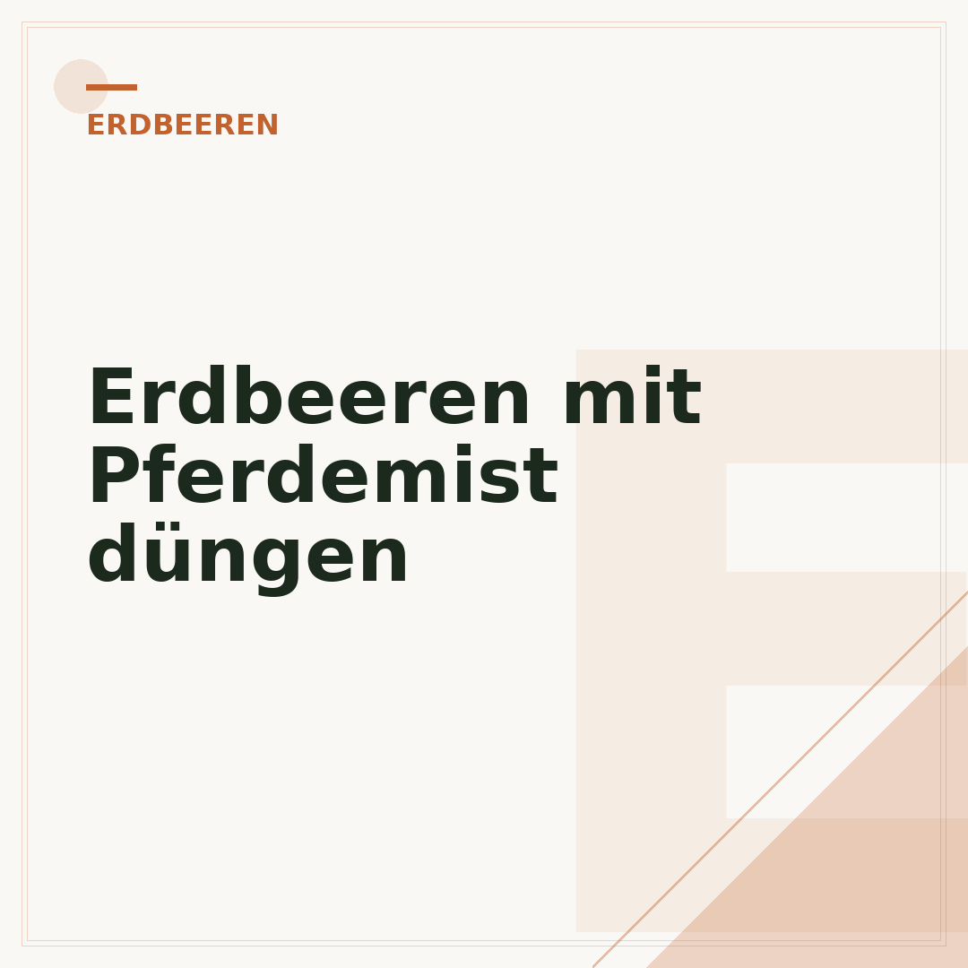 Erdbeeren mit Pferdemist düngen