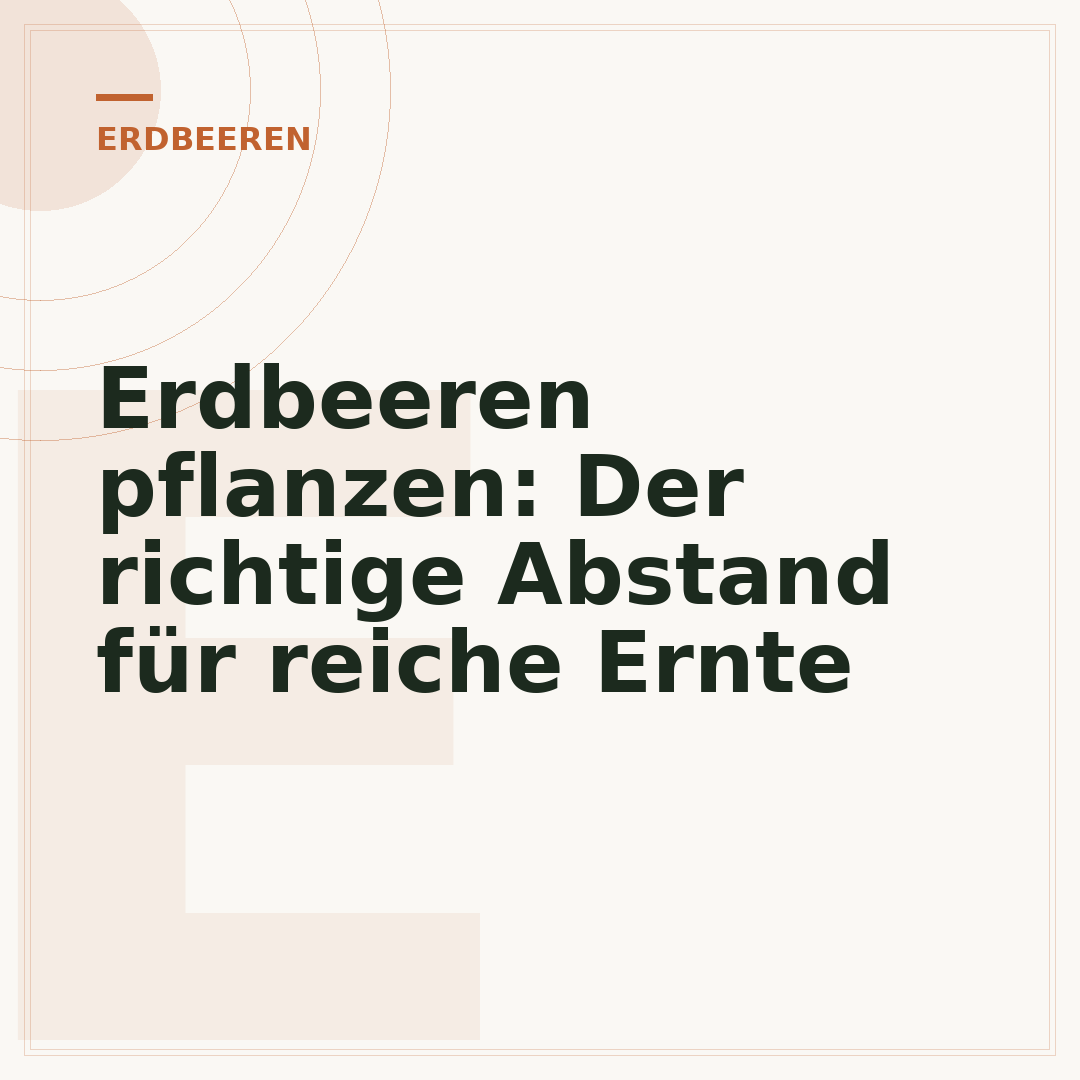 Erdbeeren pflanzen: Der richtige Abstand für reiche Ernte
