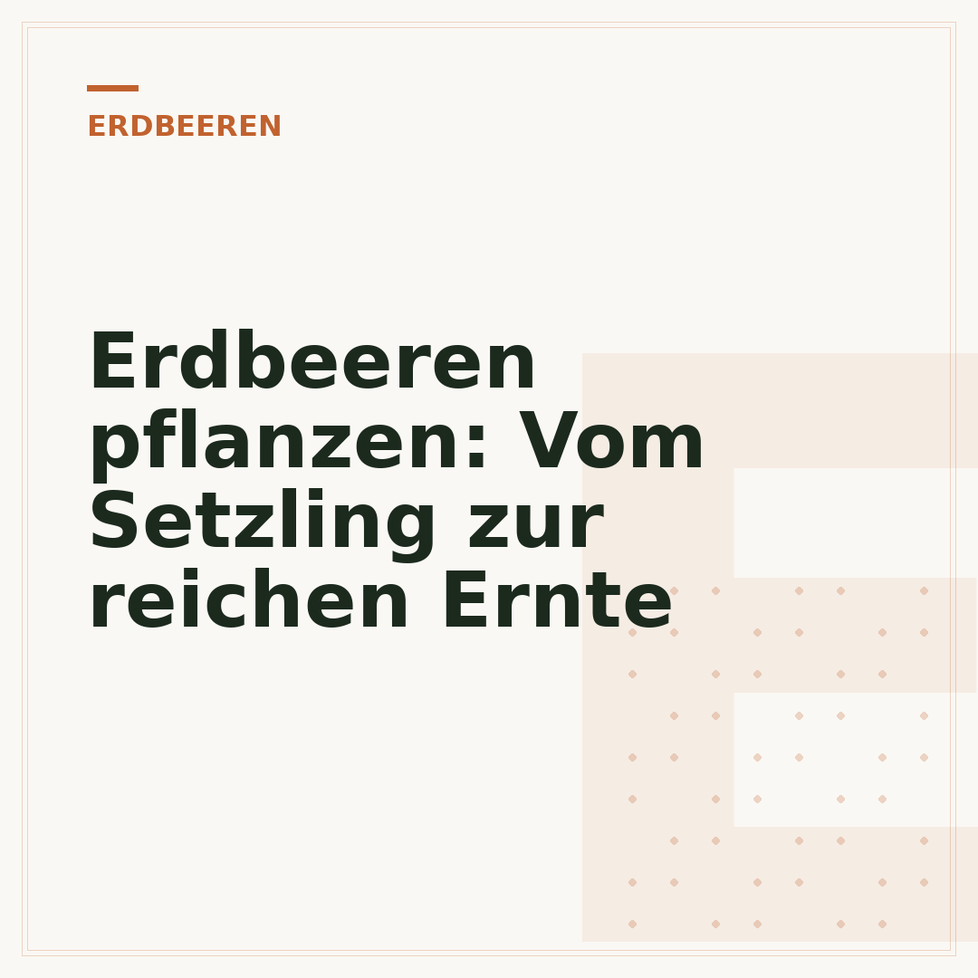 Erdbeeren pflanzen: Vom Setzling zur reichen Ernte
