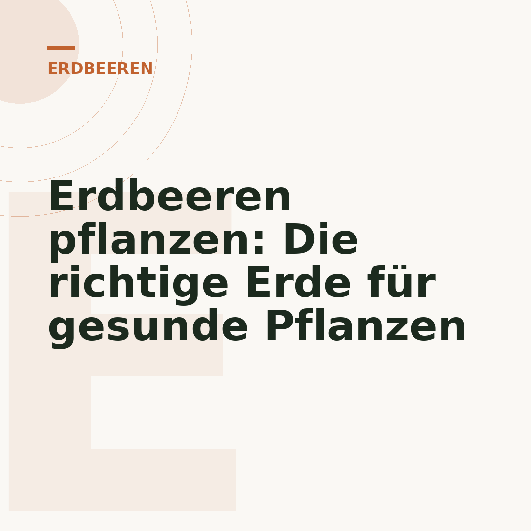 Erdbeeren pflanzen: Die richtige Erde für gesunde Pflanzen