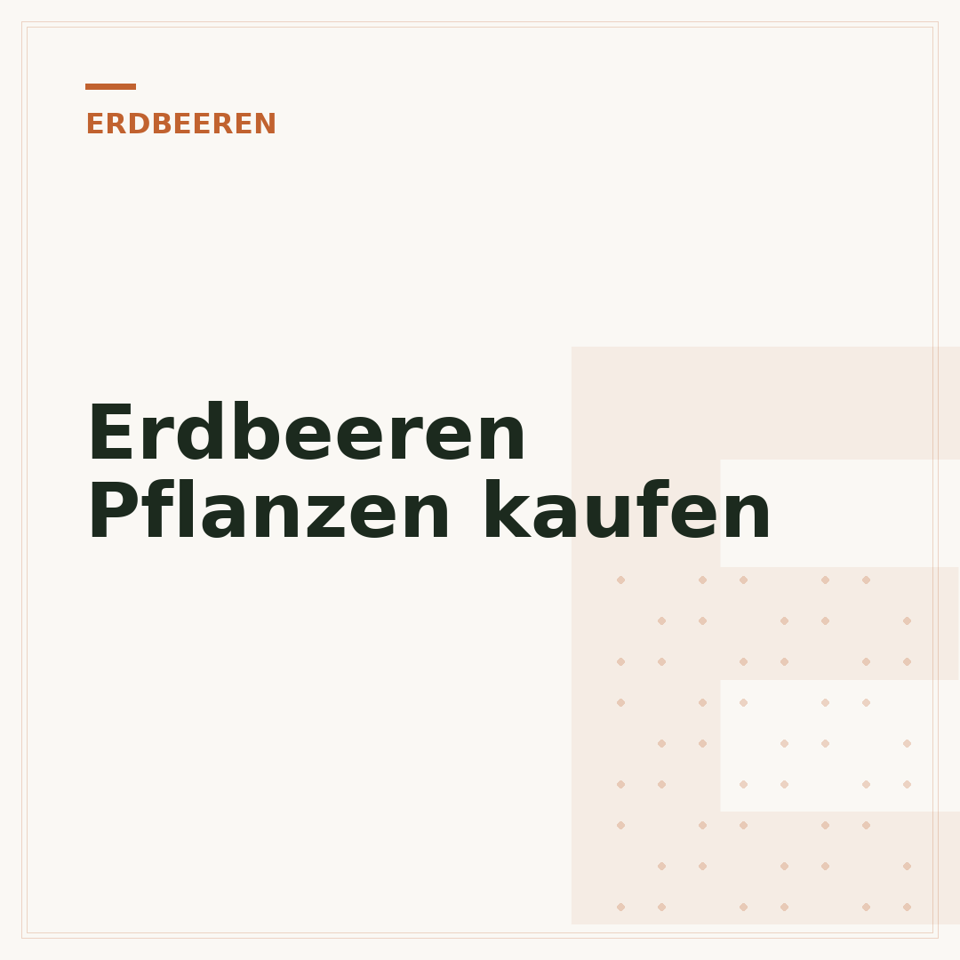 Erdbeeren Pflanzen kaufen