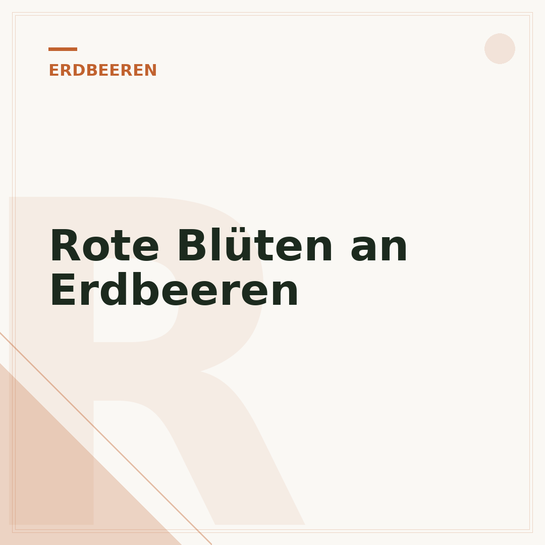 Rote Blüten an Erdbeeren