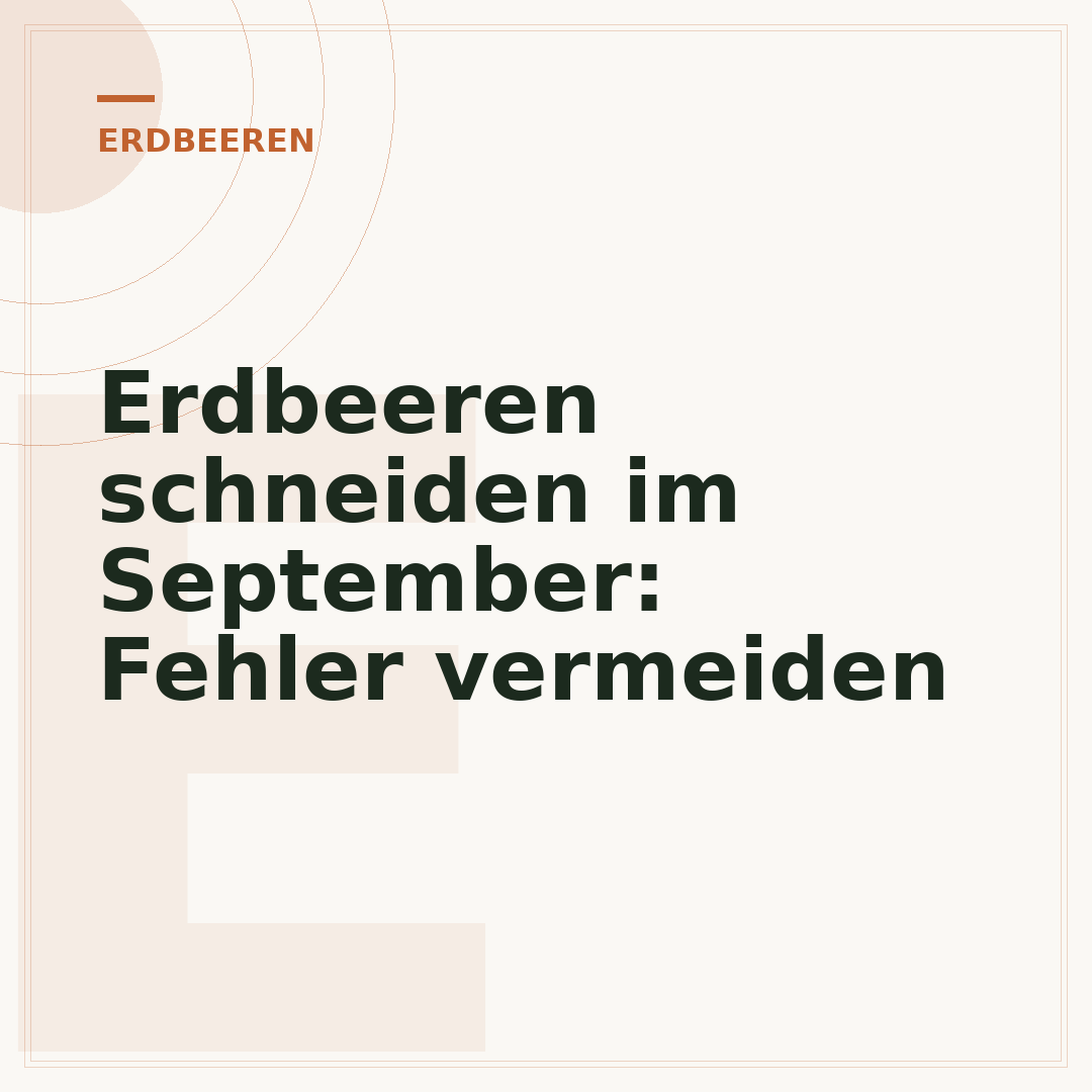 Erdbeeren schneiden im September: Fehler vermeiden