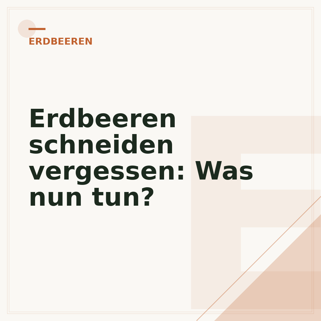 Erdbeeren schneiden vergessen: Was nun tun?