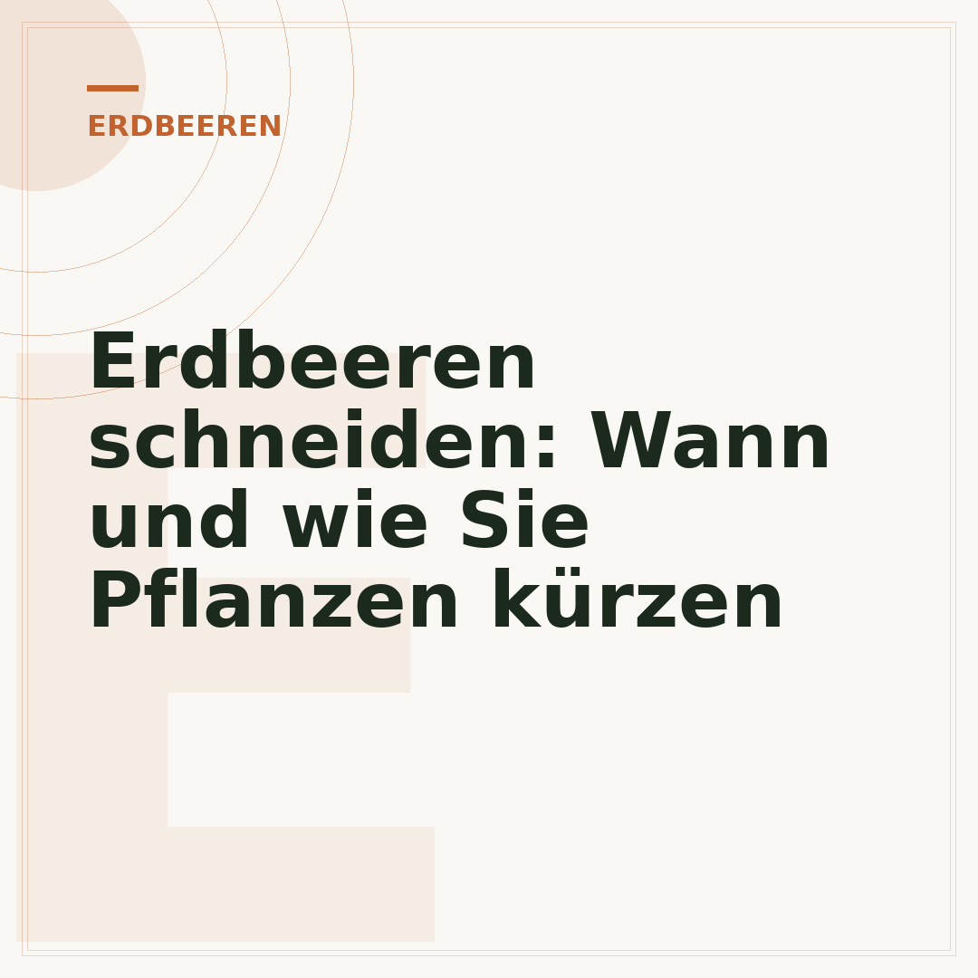 Erdbeeren schneiden: Wann und wie Sie Pflanzen kürzen