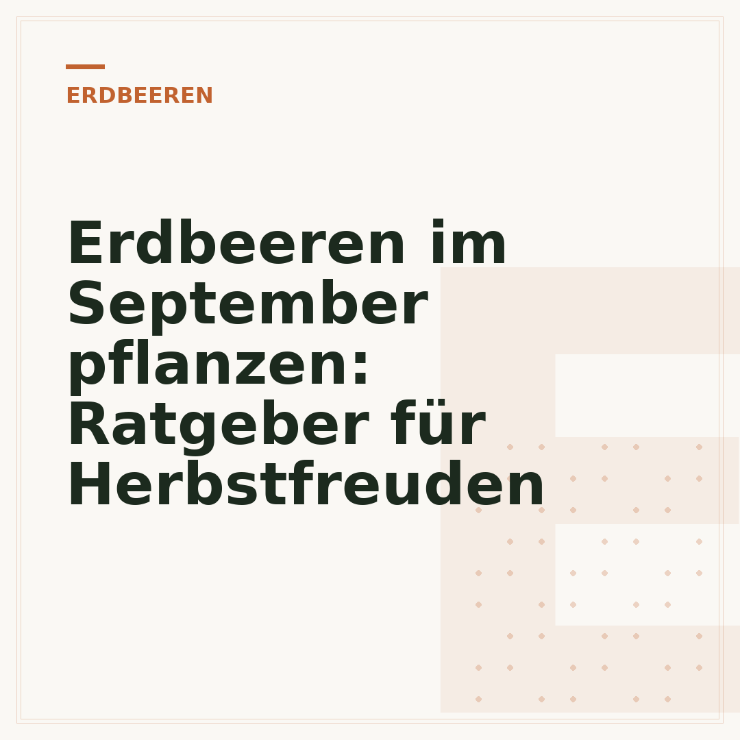 Erdbeeren im September pflanzen: Ratgeber für Herbstfreuden
