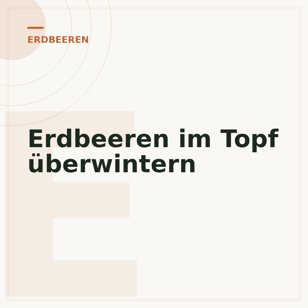 Erdbeeren im Topf überwintern
