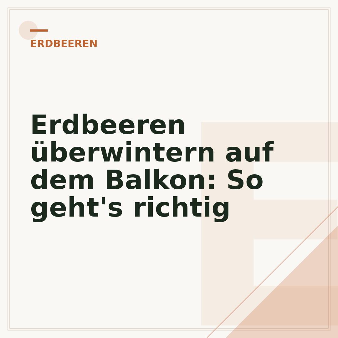 Erdbeeren überwintern auf dem Balkon: So geht's richtig