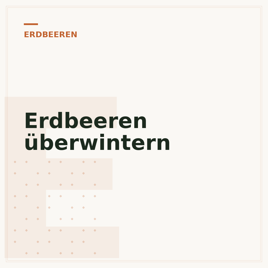 Erdbeeren überwintern