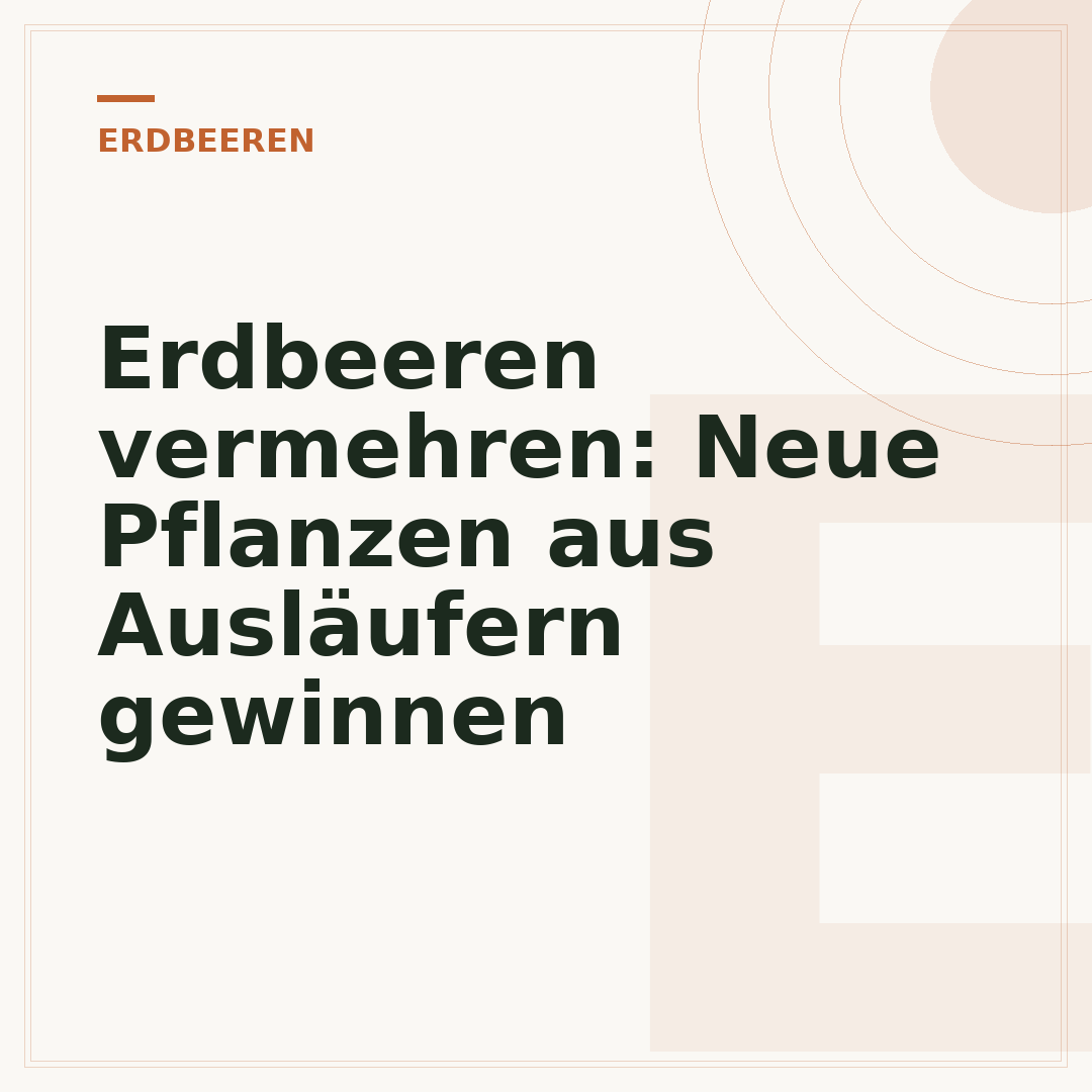 Erdbeeren vermehren: Neue Pflanzen aus Ausläufern gewinnen