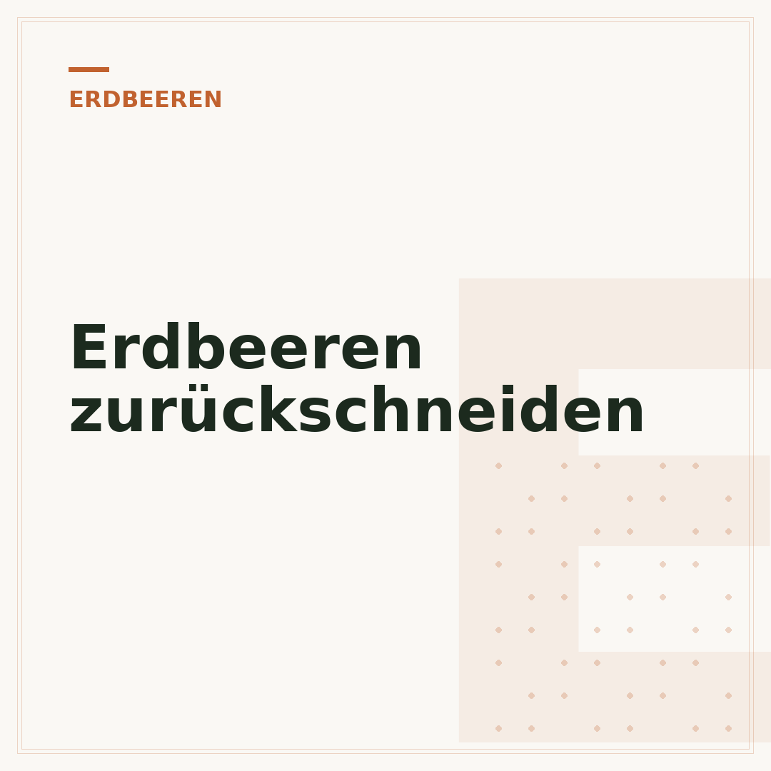 Erdbeeren zurückschneiden