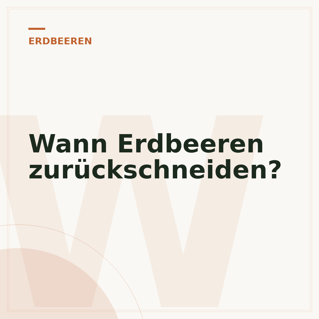 Wann Erdbeeren zurückschneiden?