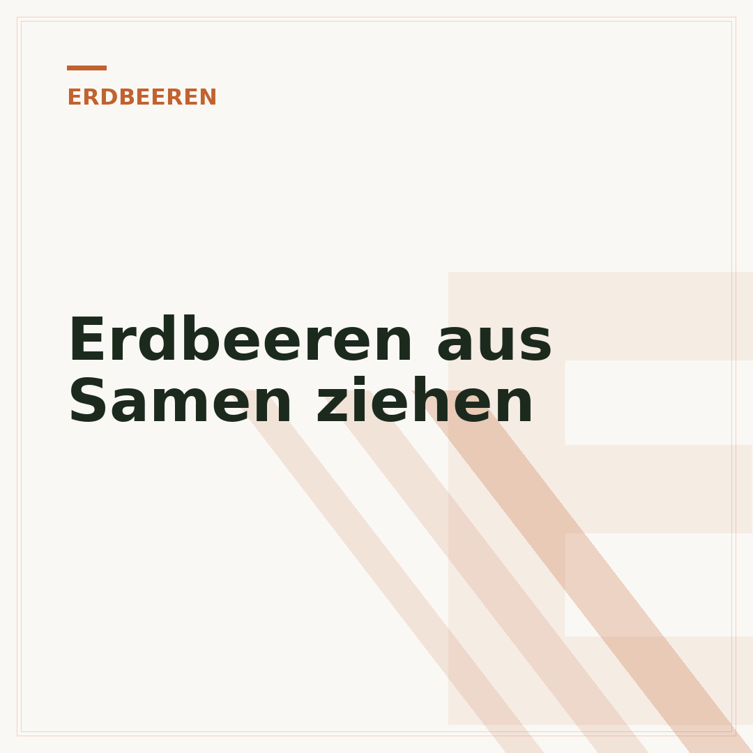 Erdbeeren aus Samen ziehen
