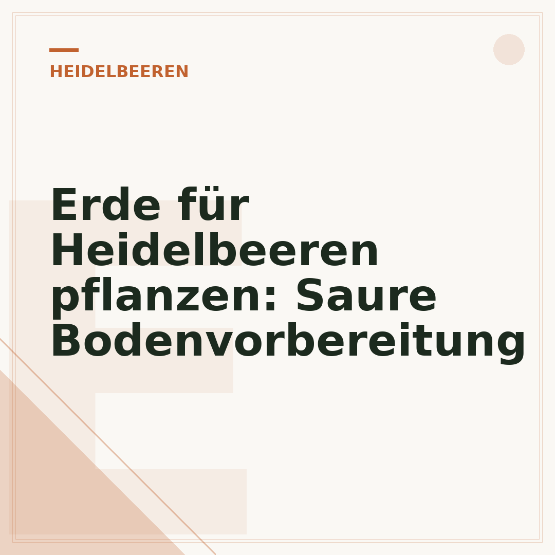 Erde für Heidelbeeren pflanzen: Saure Bodenvorbereitung