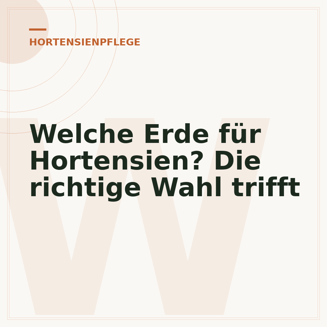 Welche Erde für Hortensien? Die richtige Wahl trifft