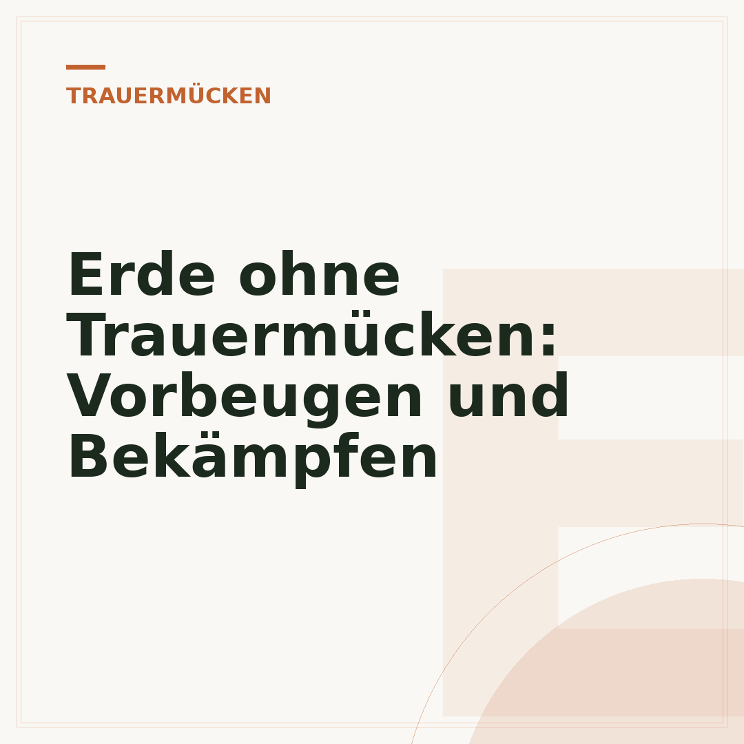 Erde ohne Trauermücken: Vorbeugen und Bekämpfen
