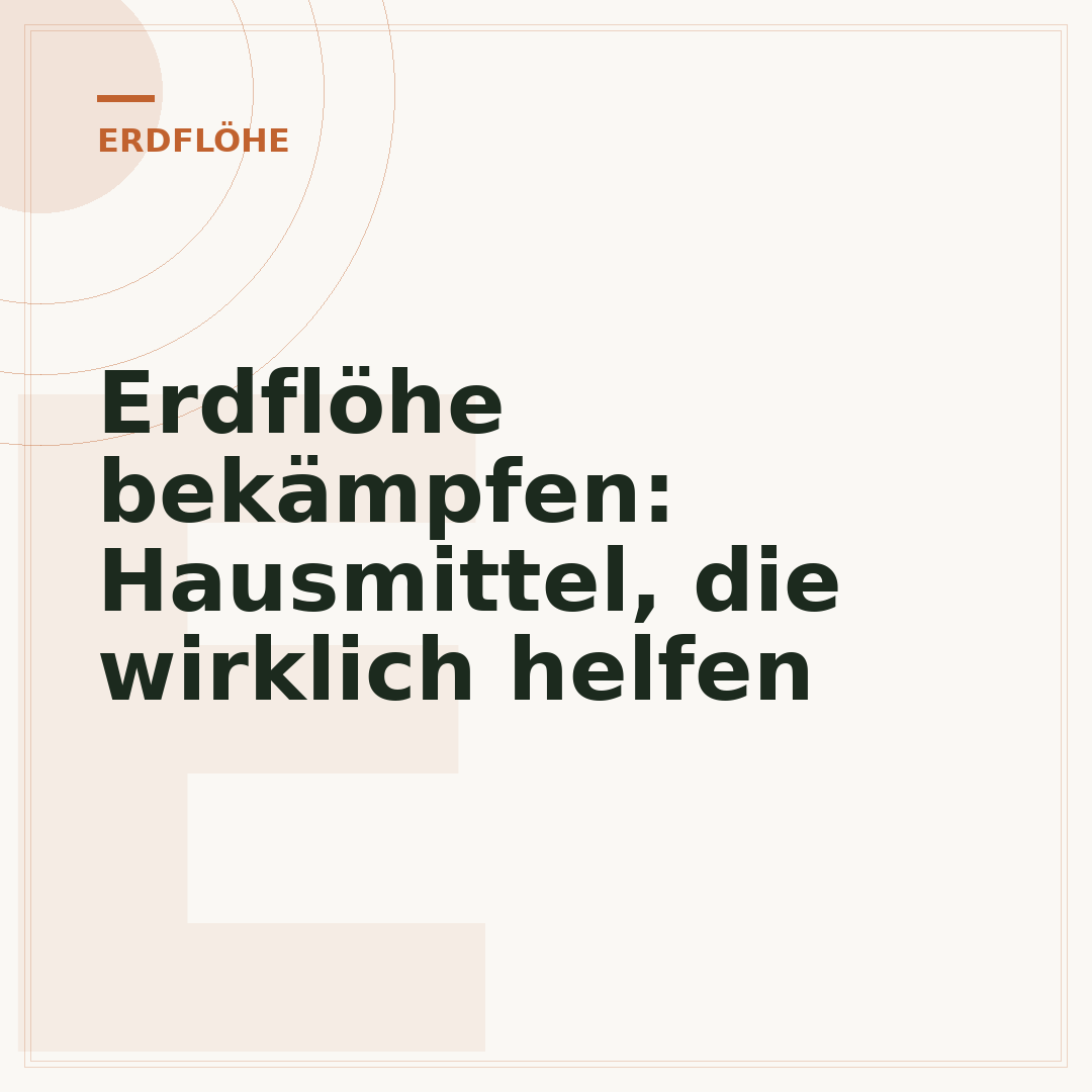 Erdflöhe bekämpfen: Hausmittel, die wirklich helfen