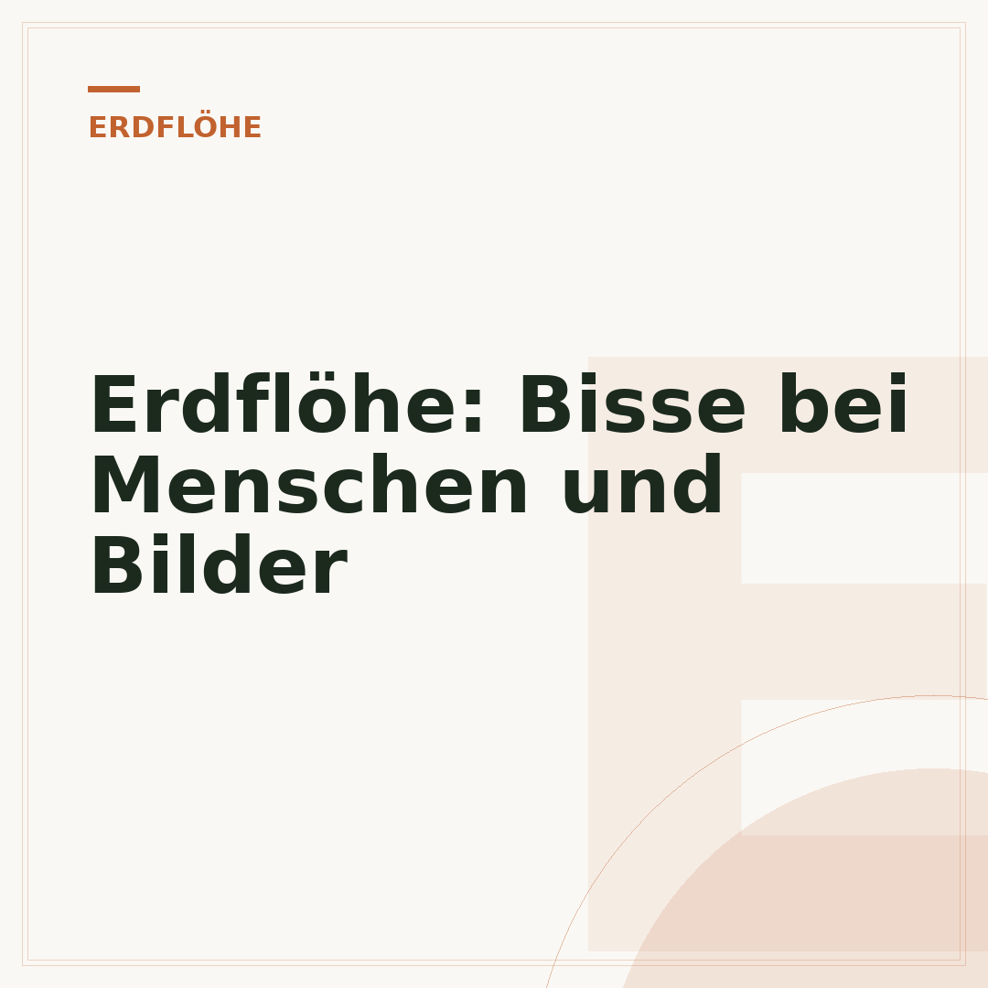 Erdflöhe: Bisse bei Menschen und Bilder
