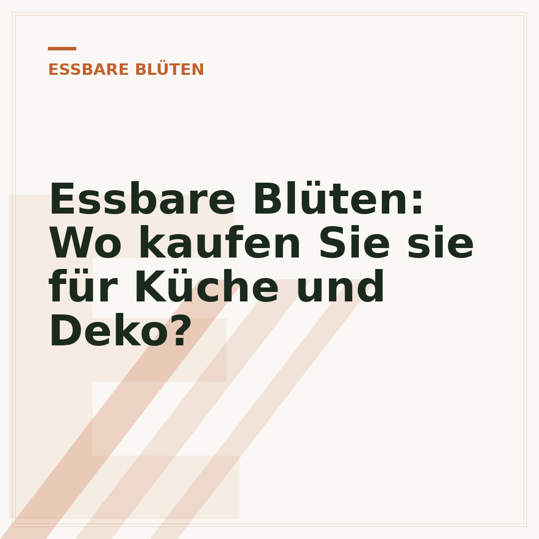 Essbare Blüten: Wo kaufen Sie sie für Küche und Deko?