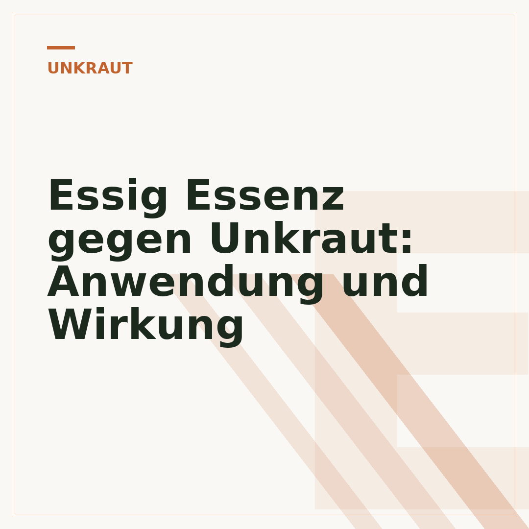 Essig Essenz gegen Unkraut: Anwendung und Wirkung