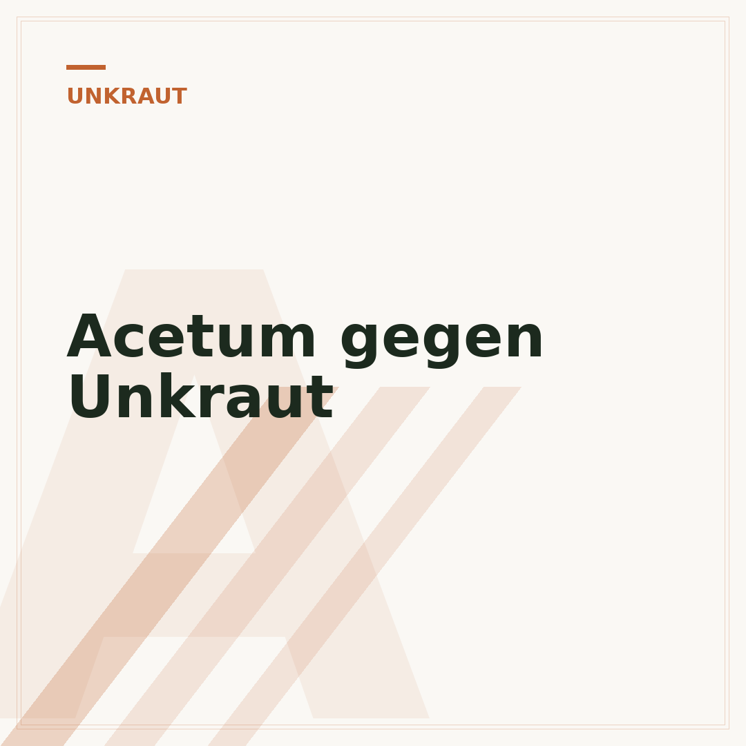 Acetum gegen Unkraut
