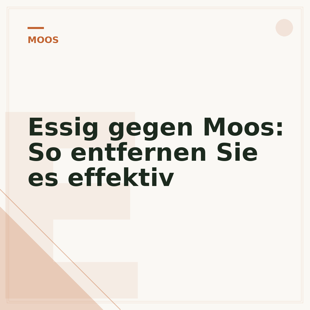 Essig gegen Moos: So entfernen Sie es effektiv