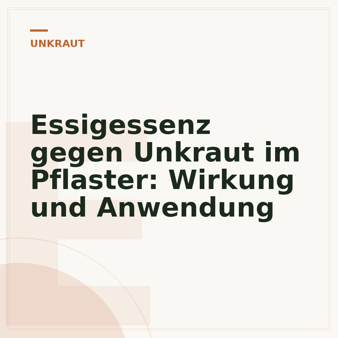 Essigessenz gegen Unkraut im Pflaster: Wirkung und Anwendung