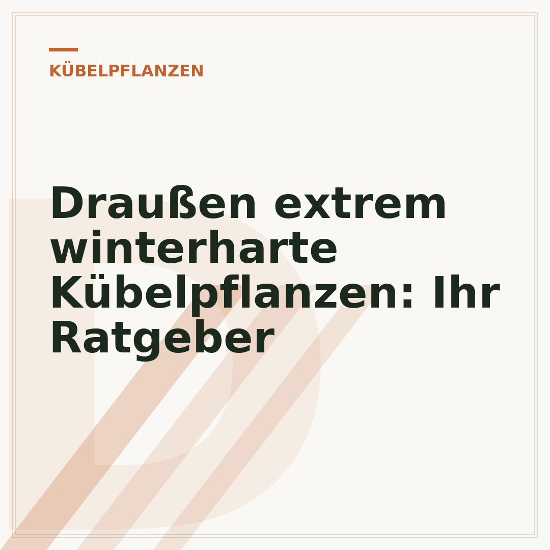 Draußen extrem winterharte Kübelpflanzen: Ihr Ratgeber