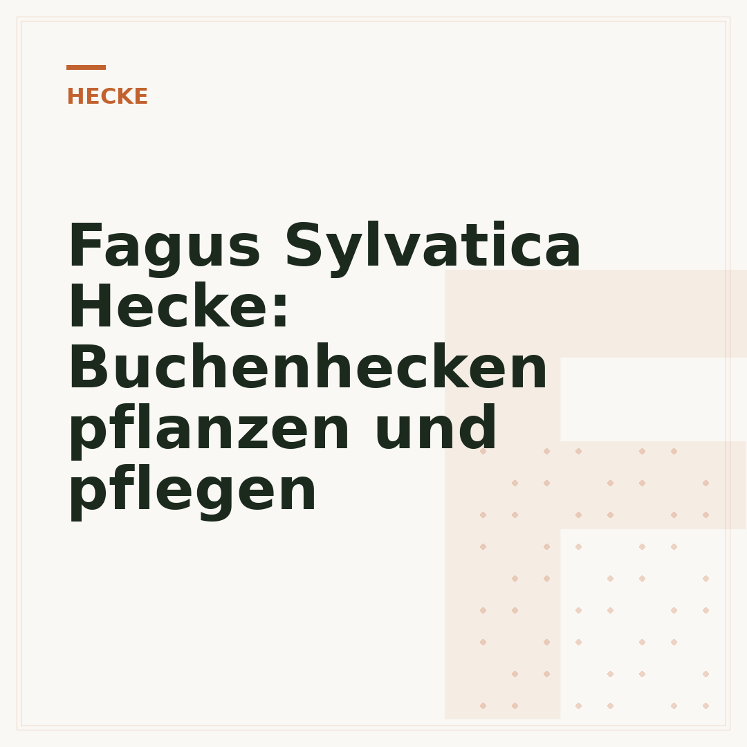 Fagus Sylvatica Hecke: Buchenhecken pflanzen und pflegen