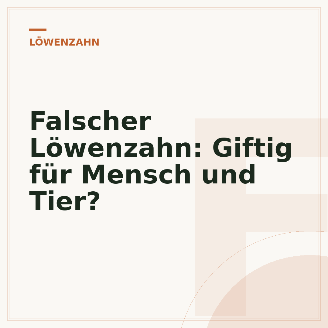 Falscher Löwenzahn: Giftig für Mensch und Tier?