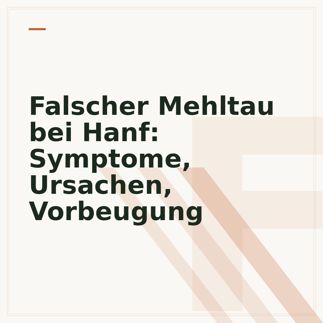 Falscher Mehltau bei Hanf: Symptome, Ursachen, Vorbeugung