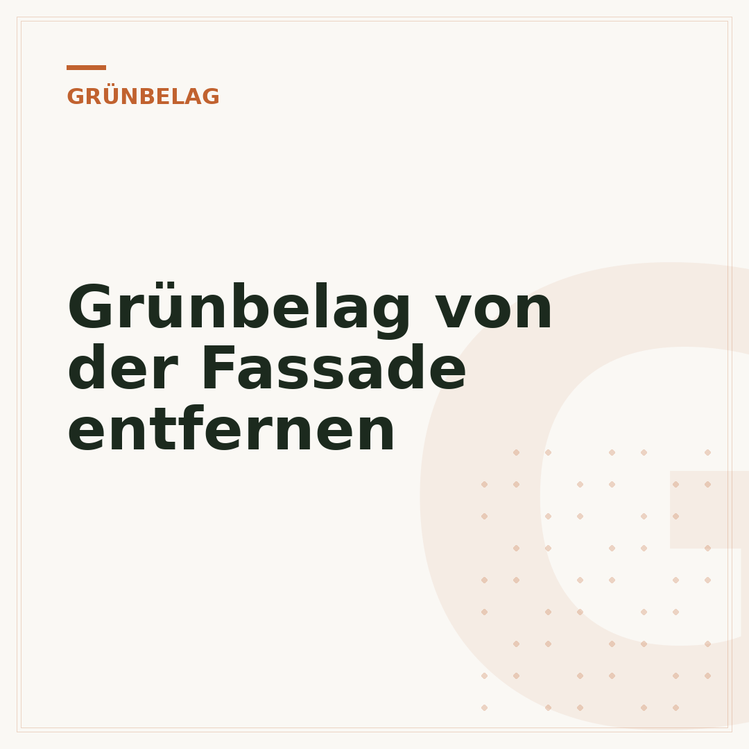 Grünbelag von der Fassade entfernen