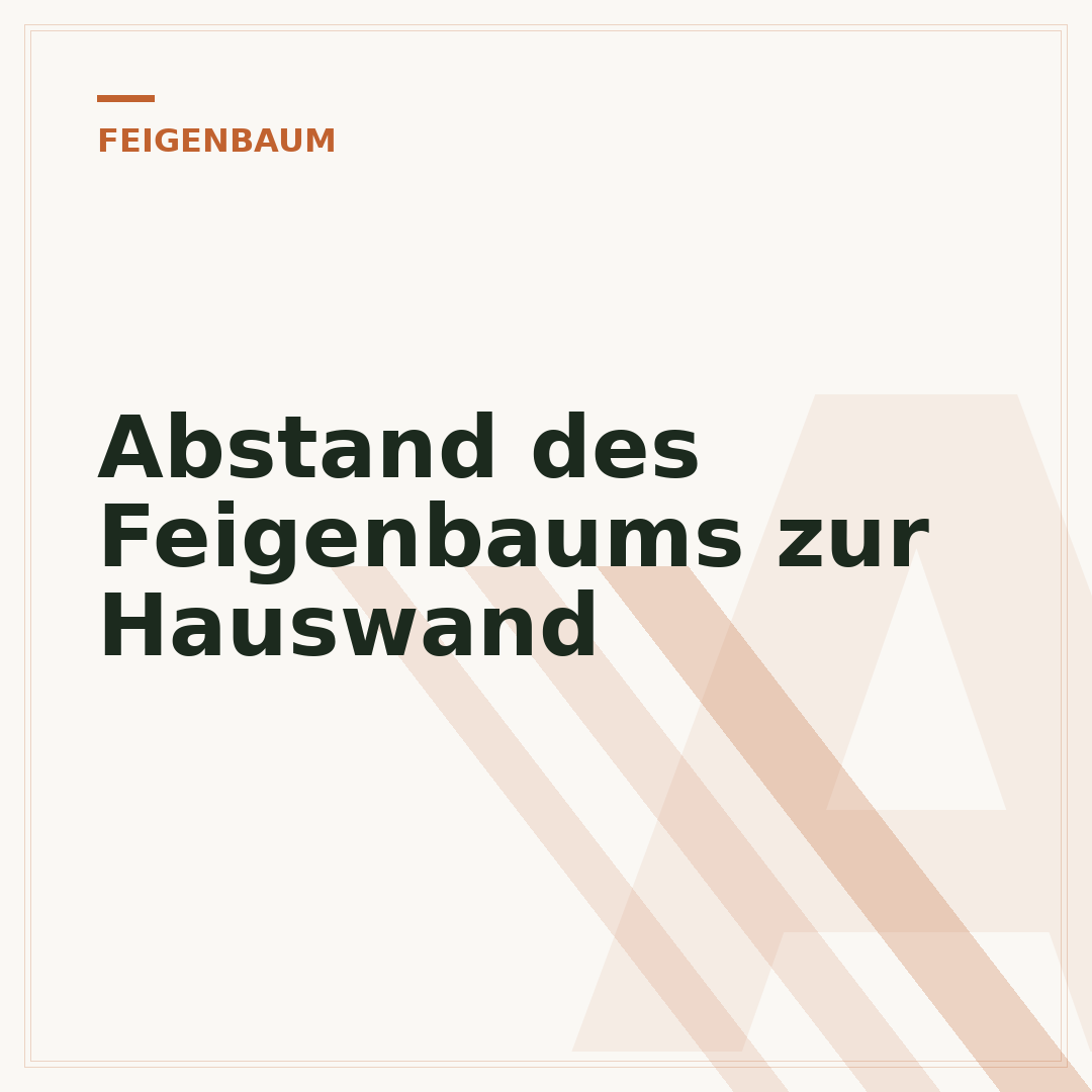Abstand des Feigenbaums zur Hauswand