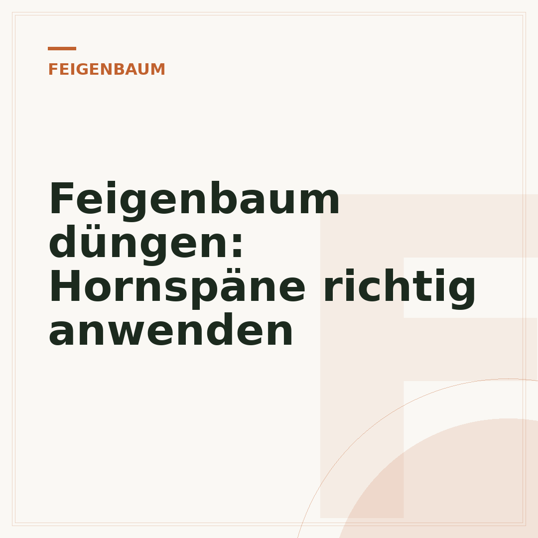 Feigenbaum düngen: Hornspäne richtig anwenden
